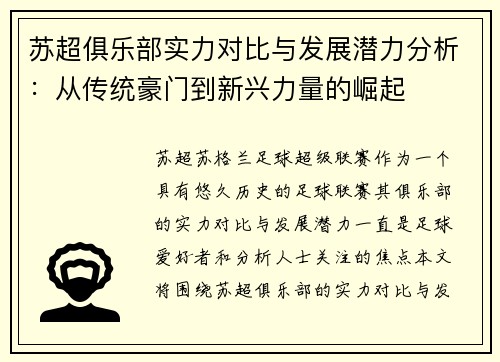 苏超俱乐部实力对比与发展潜力分析：从传统豪门到新兴力量的崛起